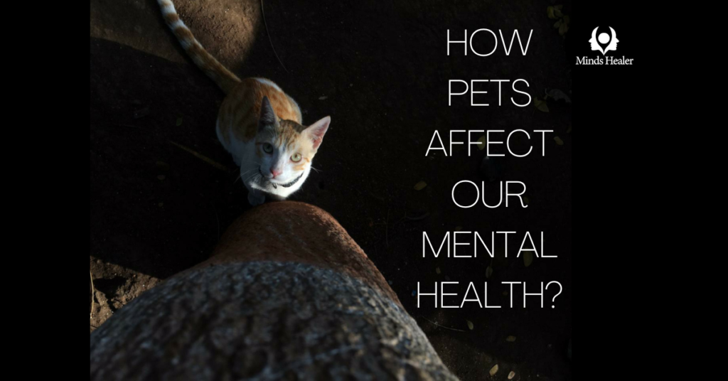 HOW PETS AFFECT OUR MENTAL HEALTH