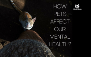 HOW PETS AFFECT OUR MENTAL HEALTH