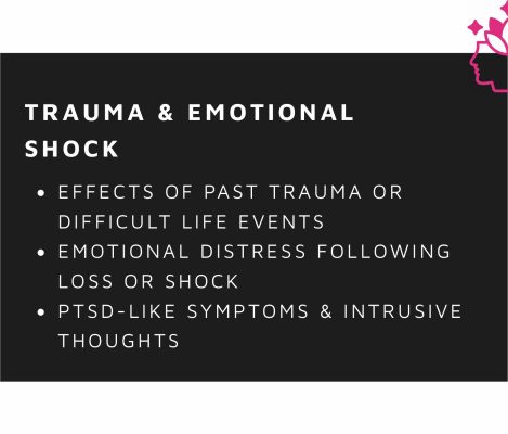 WhatsApp Image 2026-01-19 at 4.06.13 PM